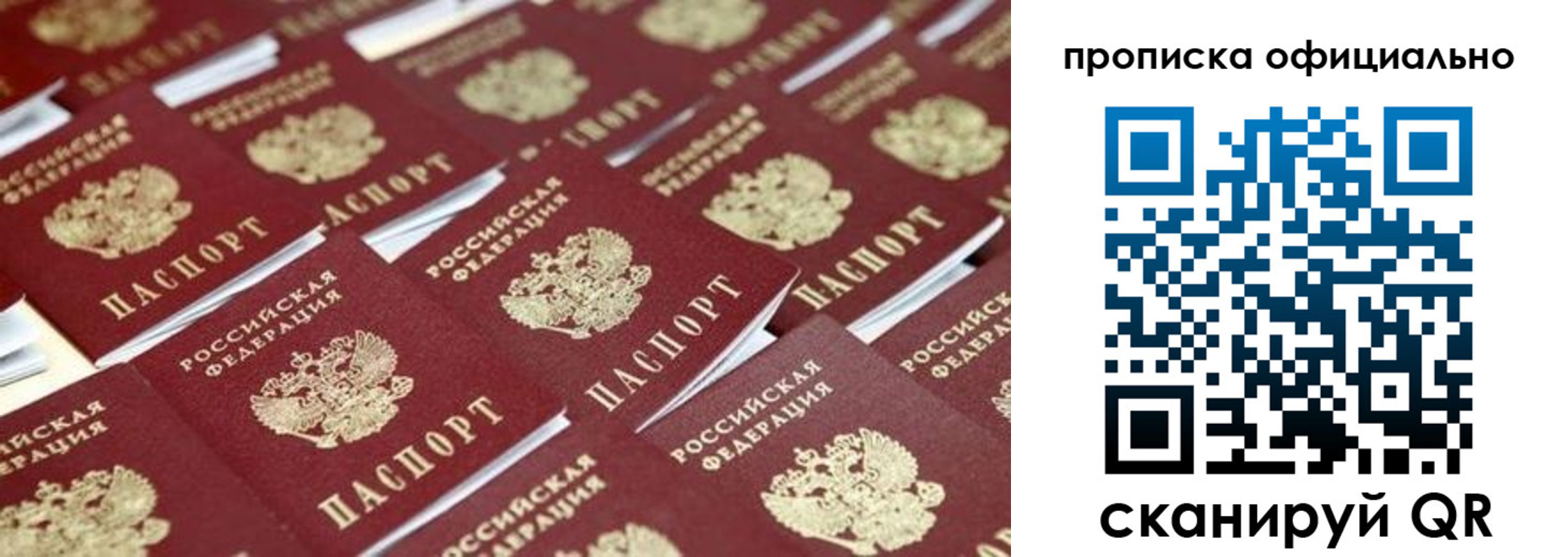 прописка гарантия в Алтайском крае